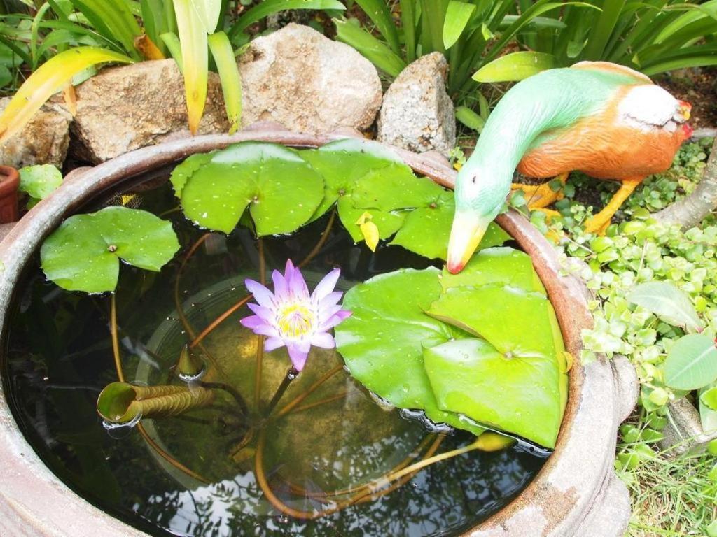 Baan Sala Lung Dam Hotel Бопхут Экстерьер фото