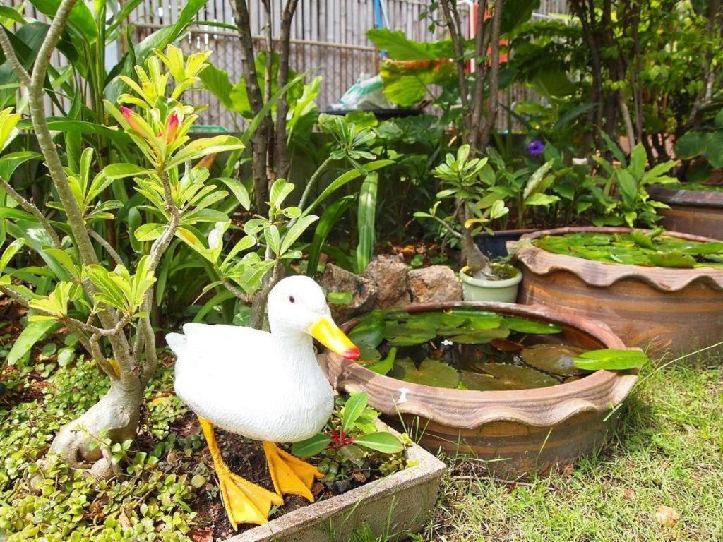 Baan Sala Lung Dam Hotel Бопхут Экстерьер фото